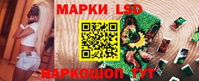 индика Кулебаки