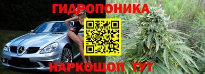 индика Кулебаки