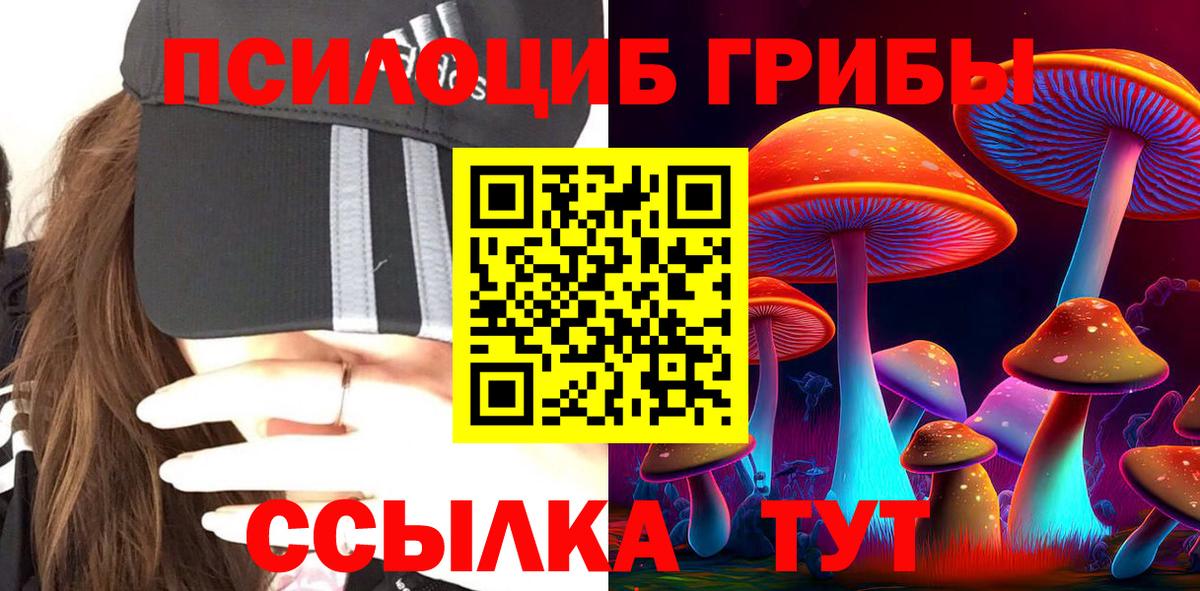 Псилоцибиновые грибы Magic Shrooms  Галлюциногенные грибы Psilocybe  Азнакаево  Вход с VPN 
