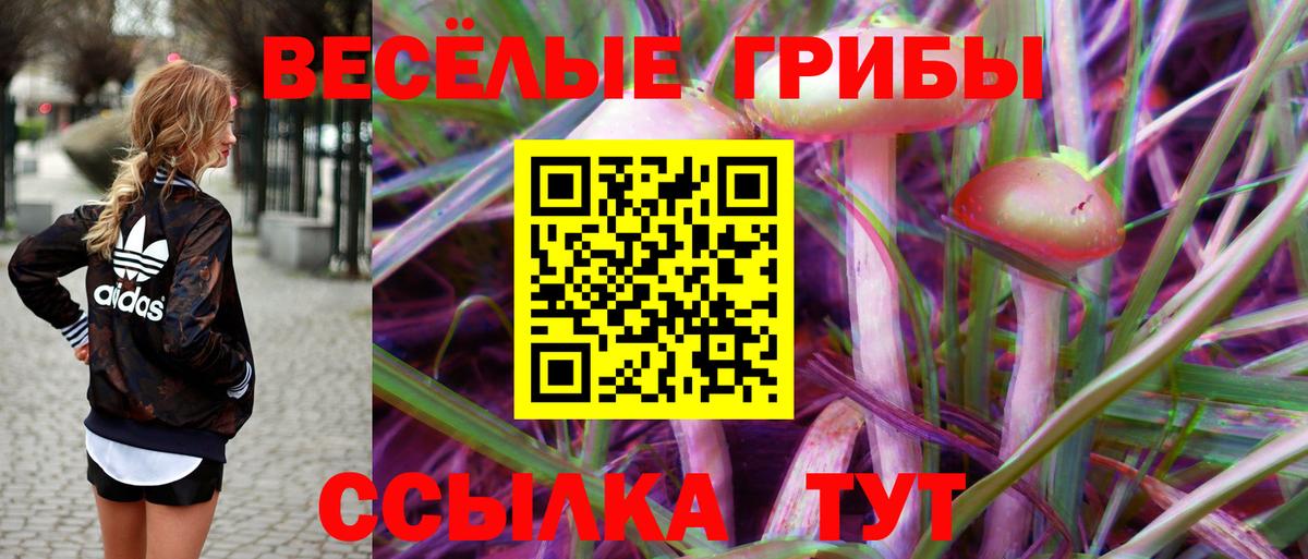Псилоцибиновые грибы мицелий Азнакаево